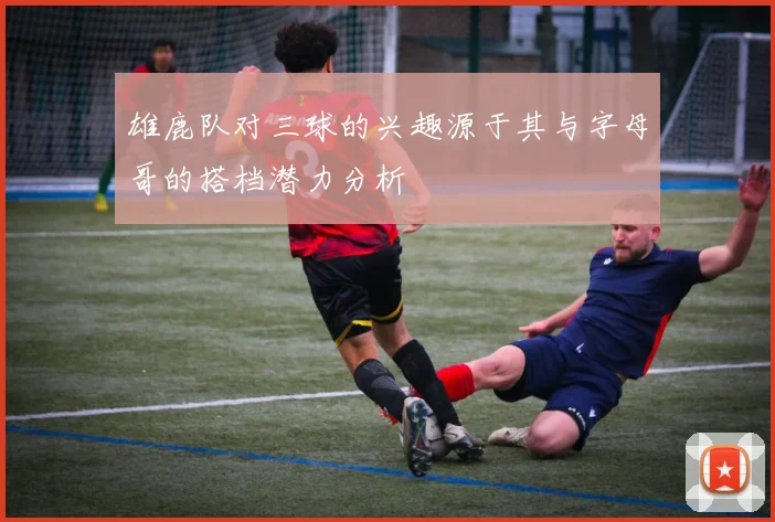 雄鹿队对三球的兴趣源于其与字母哥的搭档潜力分析