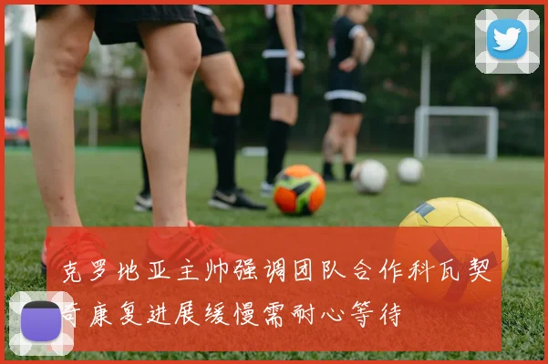 克罗地亚主帅强调团队合作科瓦契奇康复进展缓慢需耐心等待